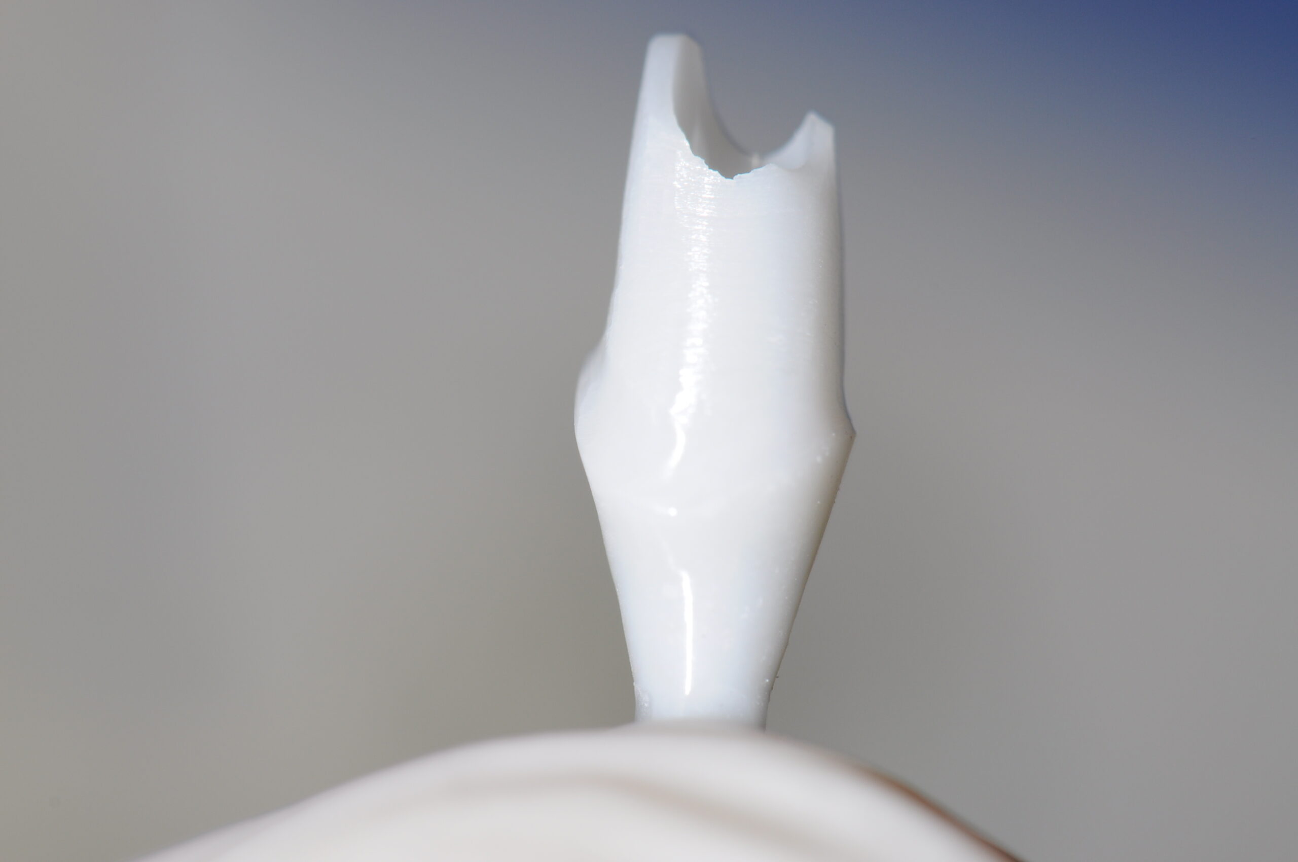 Straumann CARES Implant Abutments